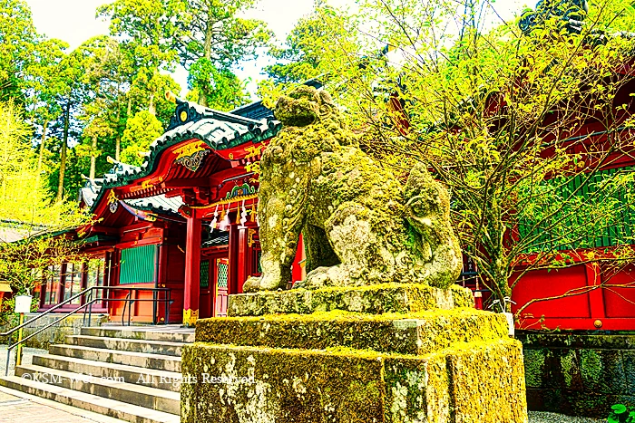 箱根神社神門と狛犬