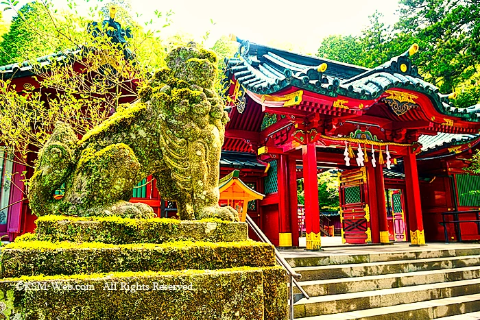 箱根神社神門と狛犬