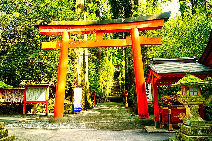 箱根神社第四鳥居と正参道