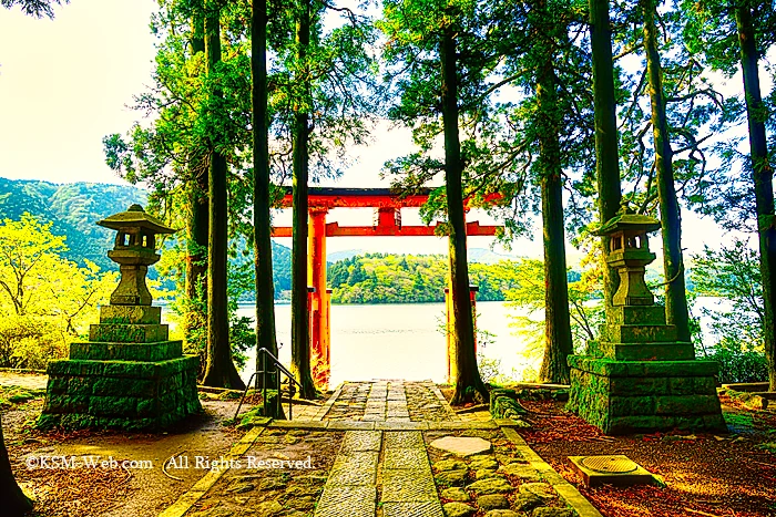 箱根神社平和の鳥居