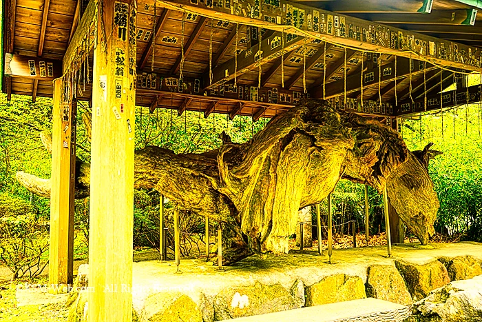 箱根神社けけら木舎