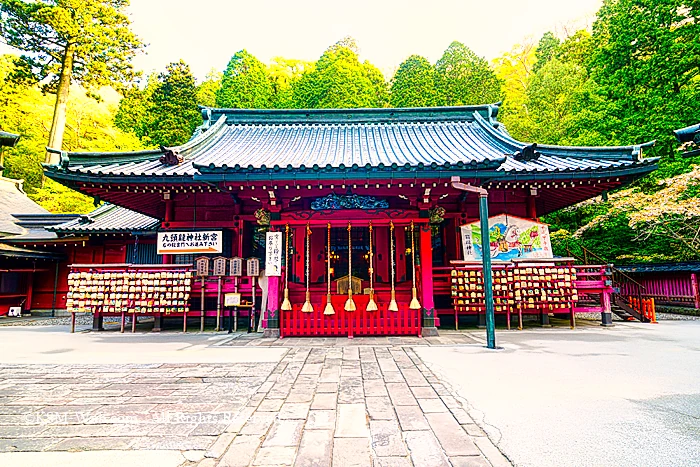 箱根神社拝殿/幣殿/本殿