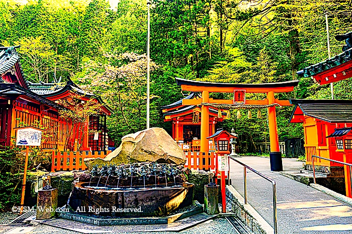 龍神水と九頭龍神社新宮