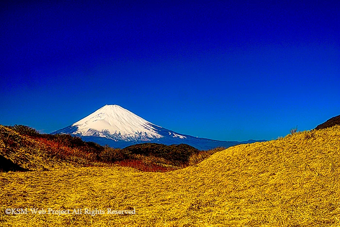 箱根駒ヶ岳からの富士山