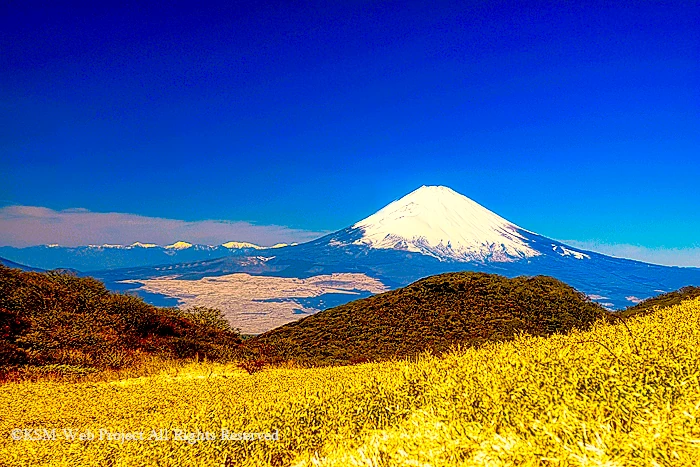 箱根駒ヶ岳からの富士山