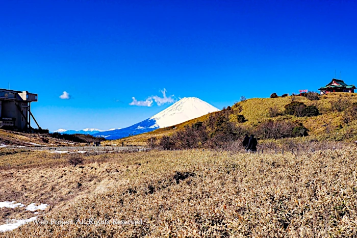箱根駒ヶ岳からの富士山と南アルプス