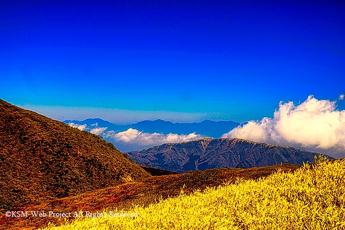 箱根駒ヶ岳からの眺め