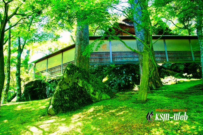 箱根美術館 苔庭