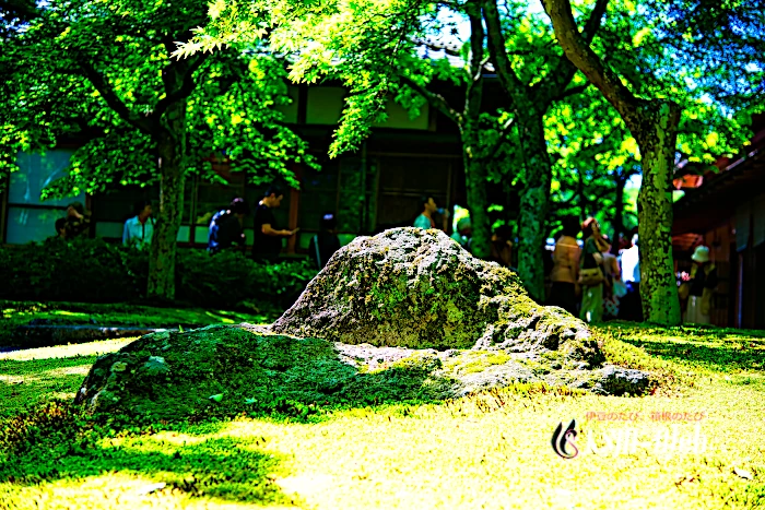 箱根美術館 苔庭