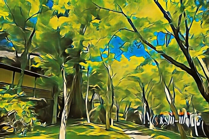 箱根美術館 苔庭