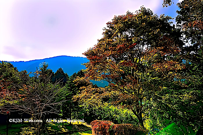 箱根やすらぎの森