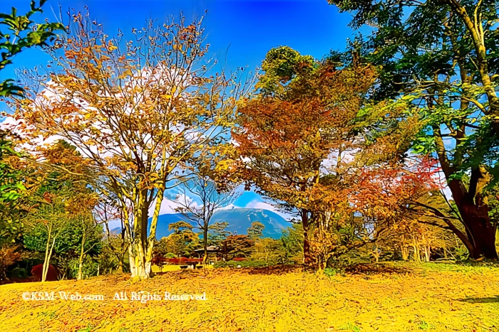 箱根やすらぎの森