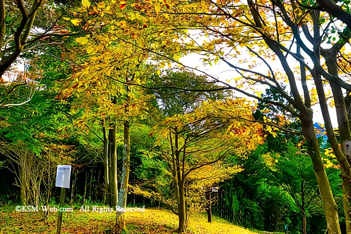 箱根やすらぎの森