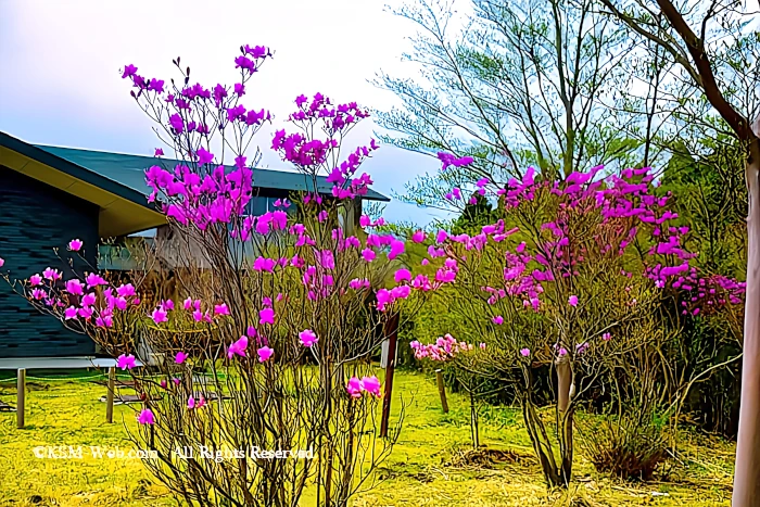 箱根森のふれあい館前