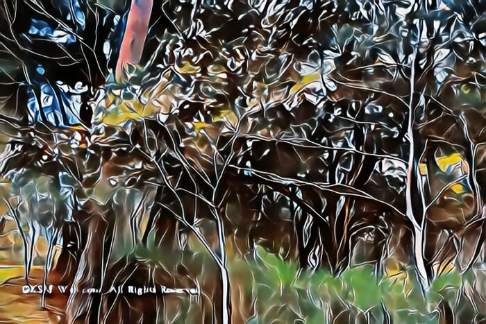 箱根やすらぎの森