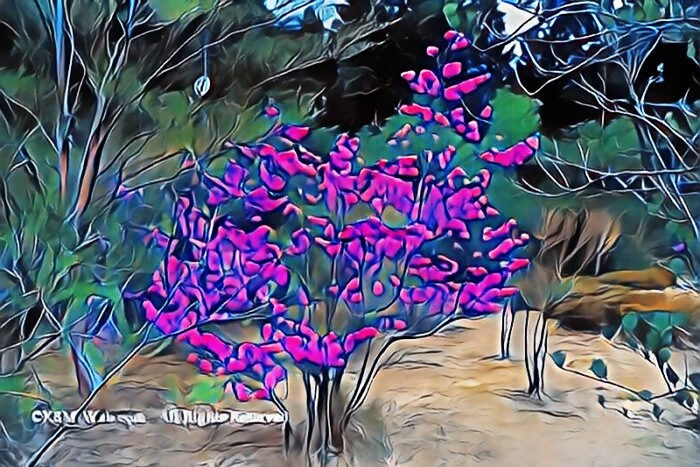 箱根やすらぎの森