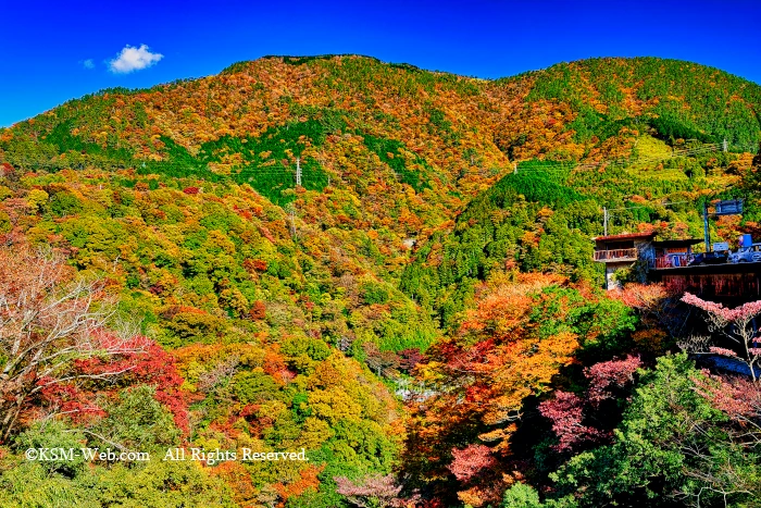 紅葉した山