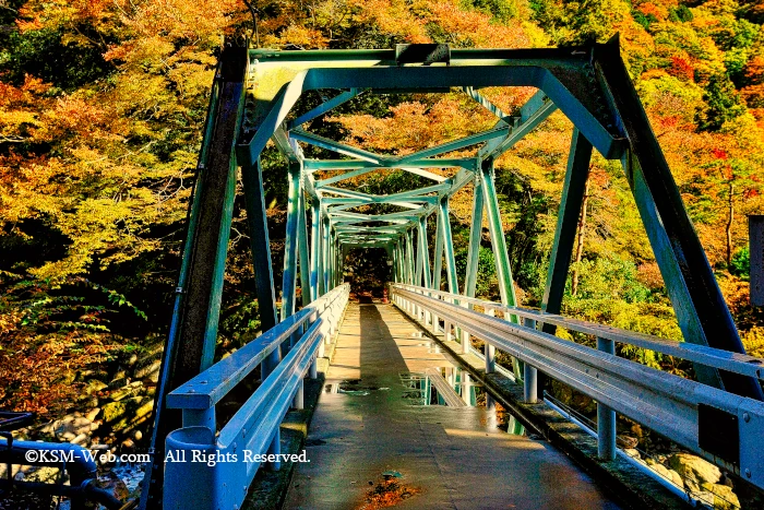 夢想橋