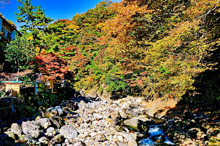 堂ヶ島（早川）の流れ