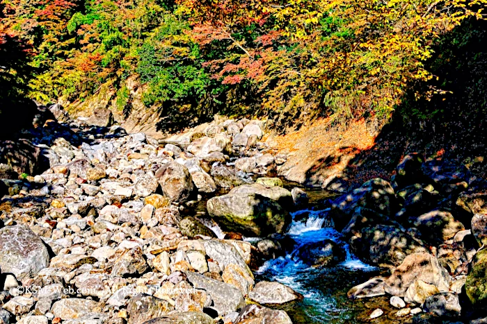 堂ヶ島（早川）の流れ