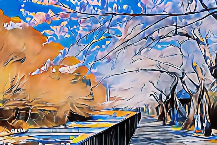 宮城野早川堤の桜並木