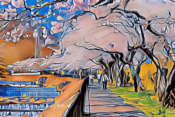 宮城野早川堤の桜並木