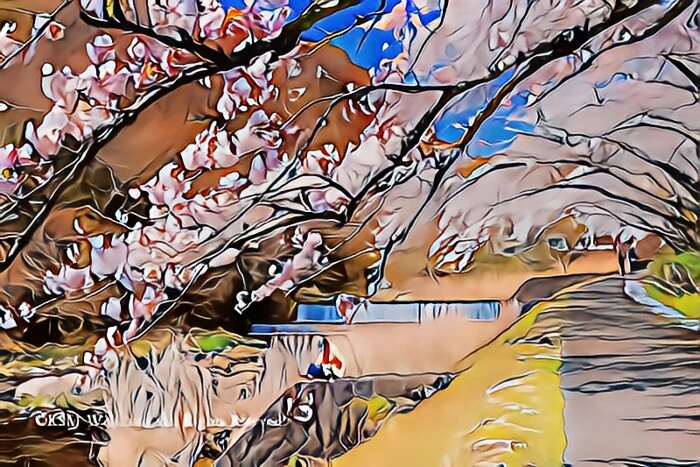 宮城野早川堤の桜並木