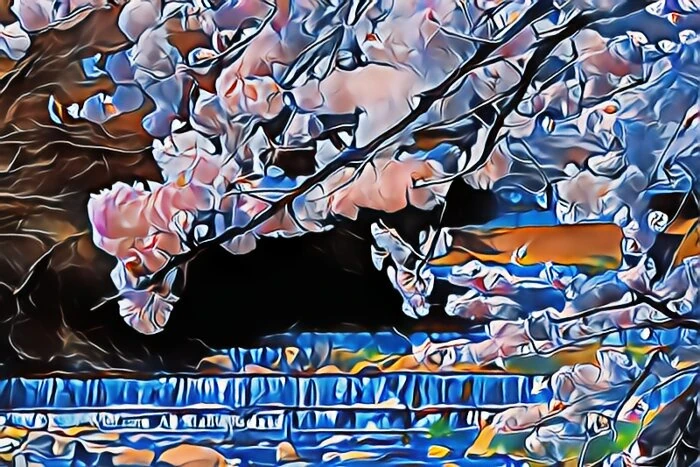 宮城野早川堤の桜並木
