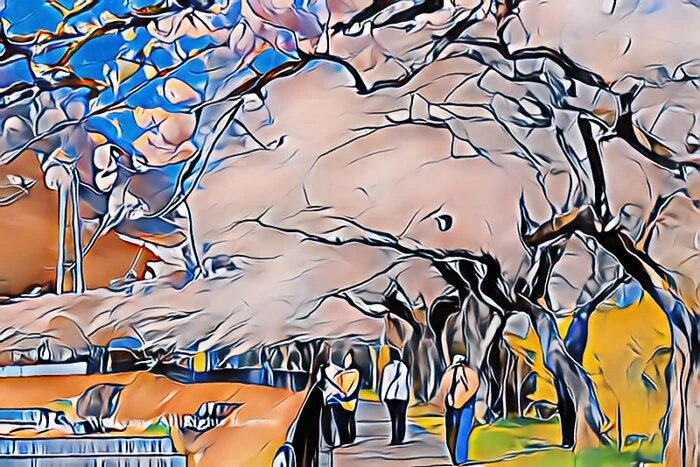 宮城野早川堤の桜並木