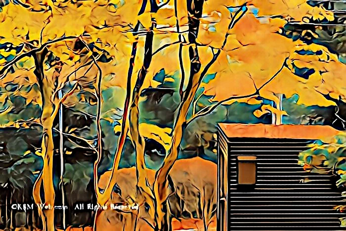 蓬莱園の紅葉