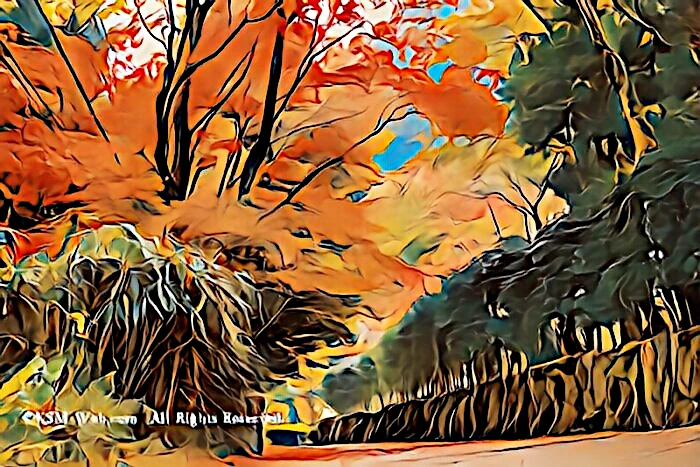 蓬莱園の紅葉