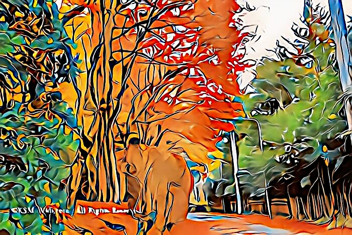 蓬莱園の紅葉
