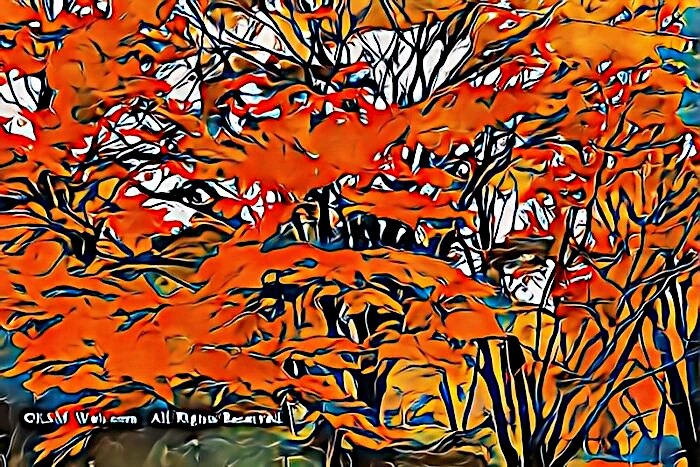 蓬莱園の紅葉