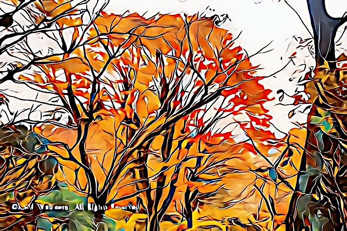 蓬莱園の紅葉