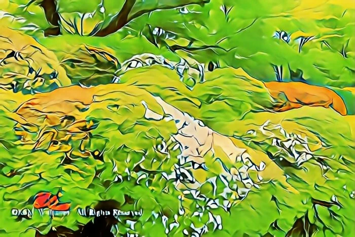 蓬莱園のつつじ