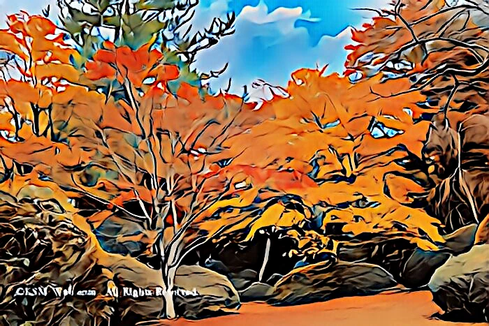 蓬莱園の紅葉