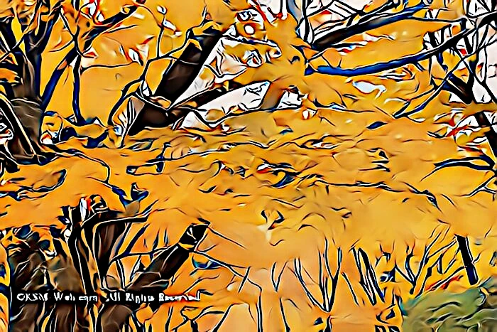 蓬莱園の紅葉