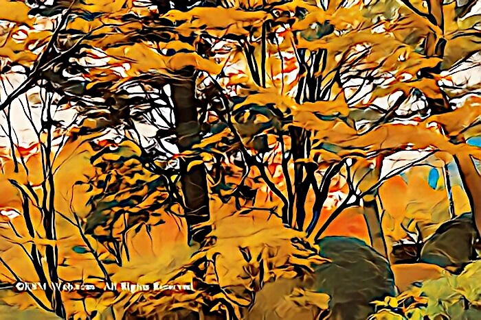 蓬莱園の紅葉
