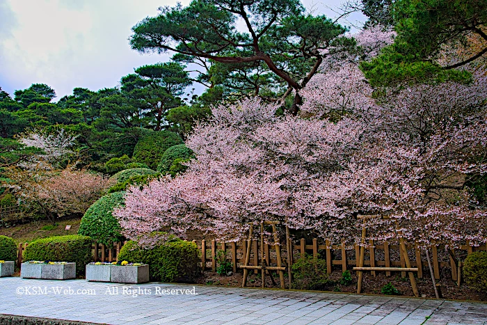 恩賜箱根公園弁天の鼻展望台