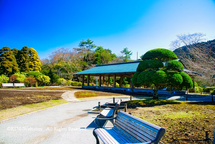 恩賜箱根公園からの芦ノ湖と富士