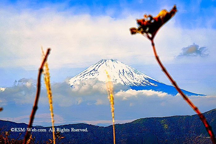 大涌谷からの富士山