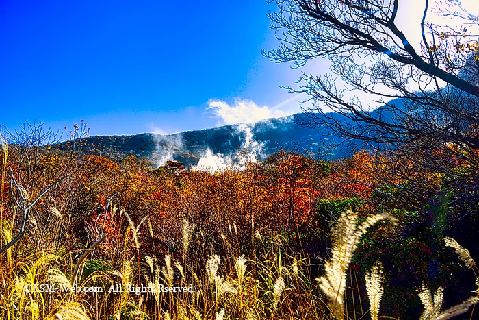 大涌谷の噴煙