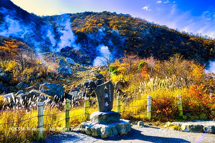 神奈川の景勝50選の碑