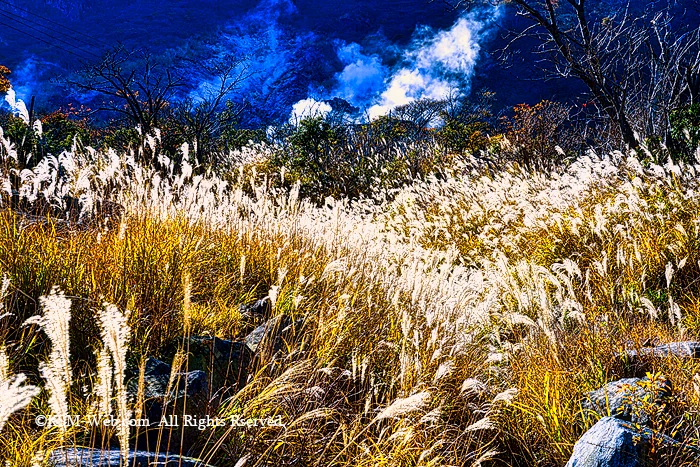 大涌谷の噴煙