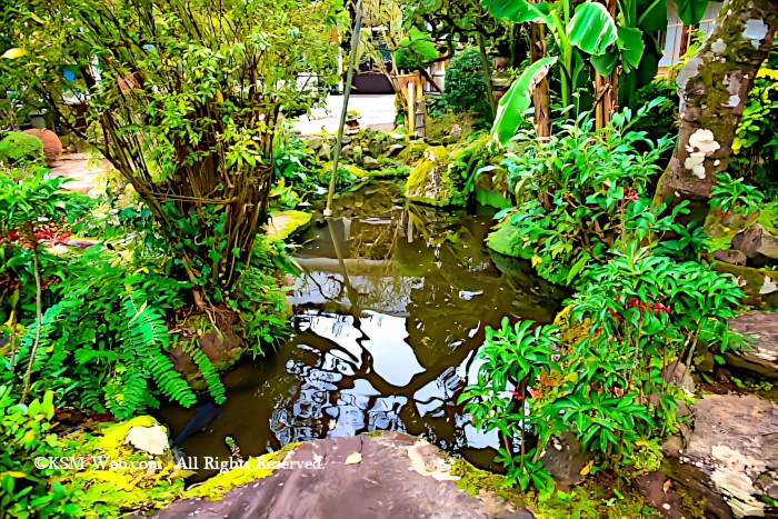 箱根正眼寺の池