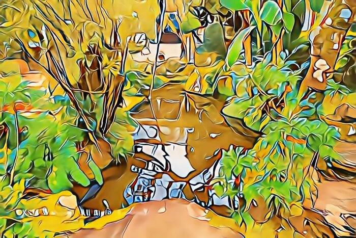 箱根正眼寺の池