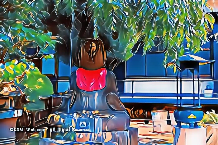 箱根正眼寺のお地蔵様