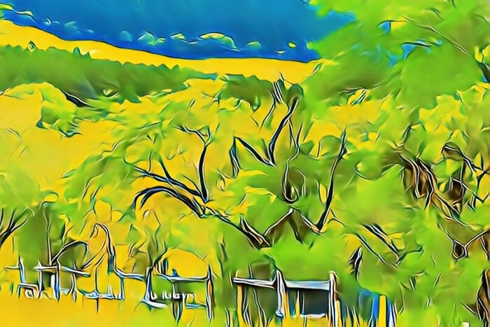 箱根湿生花園新緑のころ
