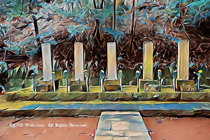 image10
