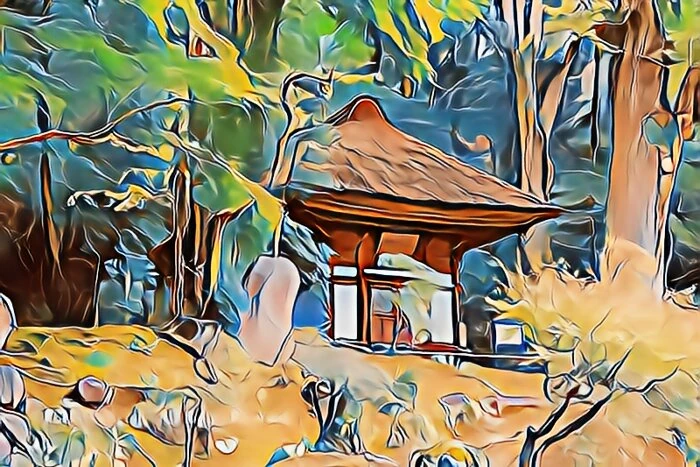 image6